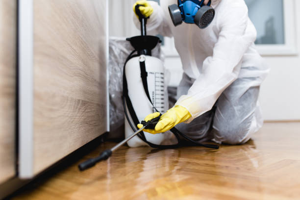 Best Flea Control Services  in Sylva, NC