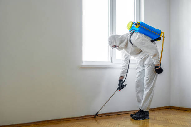 Best Pest Removal Services  in Sylva, NC