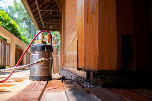 Trusted Sylva, NC Pest Control Experts
