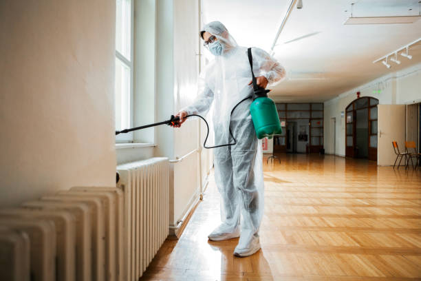 Best Flea Control Services  in Sylva, NC