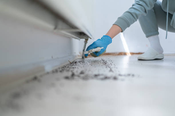 Best Pest Control Near Me  in Sylva, NC