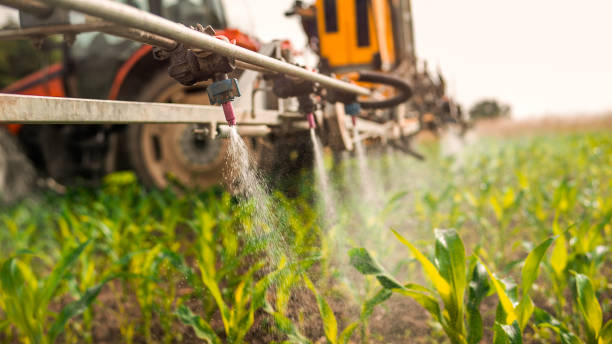 Best Pest Control Treatment  in Sylva, NC