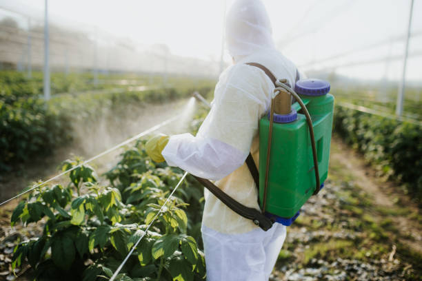 Best Best Pest Control Companies  in Sylva, NC